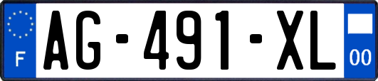 AG-491-XL