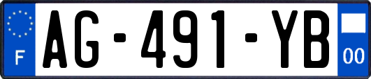 AG-491-YB