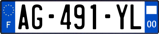 AG-491-YL