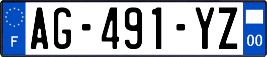 AG-491-YZ