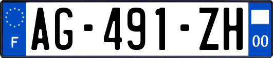 AG-491-ZH