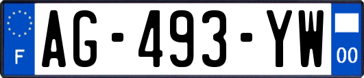 AG-493-YW