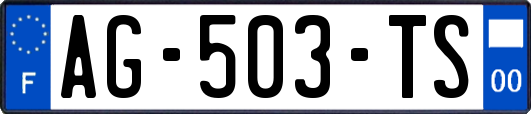 AG-503-TS