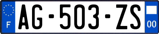 AG-503-ZS