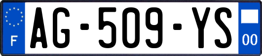 AG-509-YS