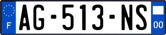 AG-513-NS