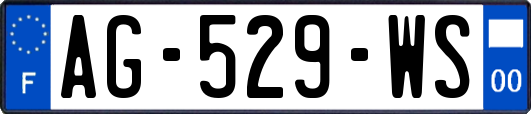 AG-529-WS