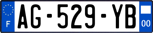AG-529-YB
