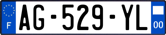 AG-529-YL