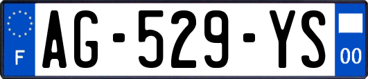 AG-529-YS