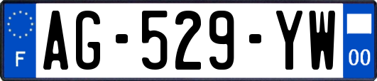 AG-529-YW