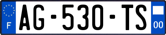 AG-530-TS