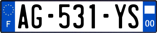 AG-531-YS