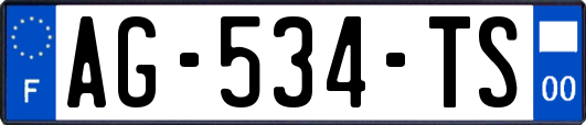 AG-534-TS