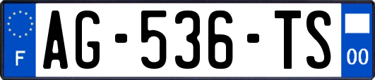 AG-536-TS