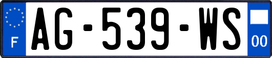 AG-539-WS