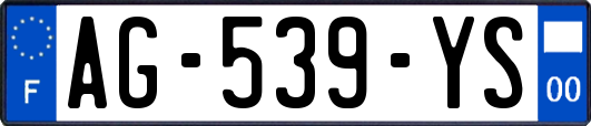 AG-539-YS