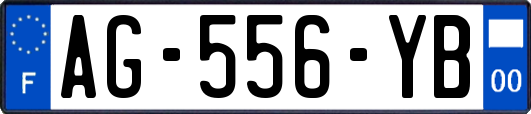 AG-556-YB