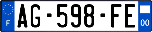 AG-598-FE