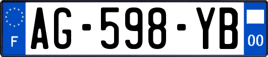 AG-598-YB