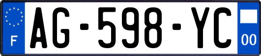 AG-598-YC