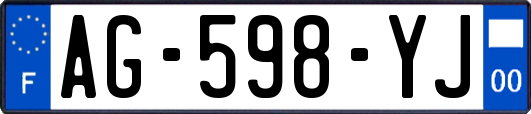 AG-598-YJ