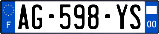 AG-598-YS