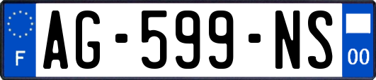 AG-599-NS