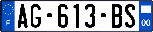 AG-613-BS