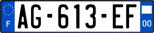 AG-613-EF