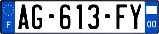 AG-613-FY