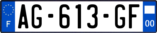 AG-613-GF