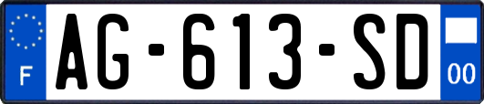 AG-613-SD