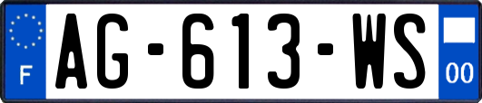 AG-613-WS