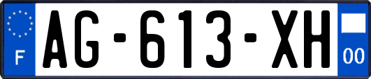 AG-613-XH