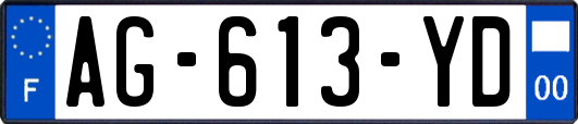 AG-613-YD