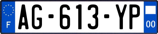 AG-613-YP