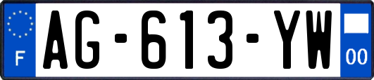 AG-613-YW