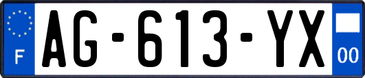 AG-613-YX