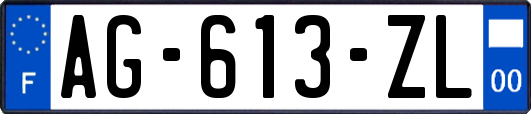 AG-613-ZL