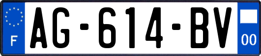 AG-614-BV