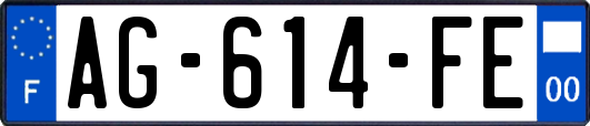 AG-614-FE