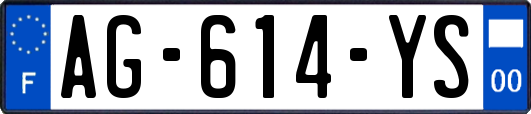 AG-614-YS