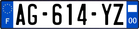 AG-614-YZ