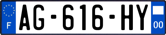 AG-616-HY