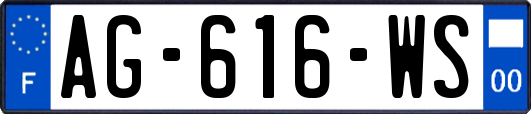 AG-616-WS