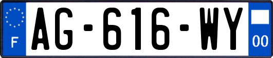 AG-616-WY