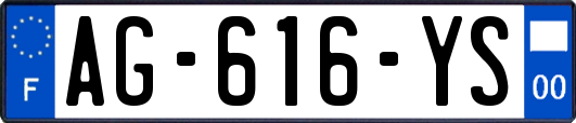 AG-616-YS