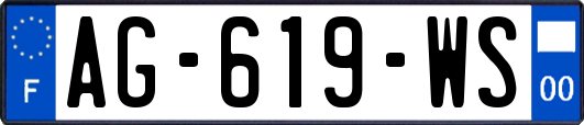 AG-619-WS