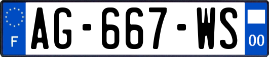 AG-667-WS